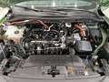 Ford Kuga 2.5 Duratec FHEV ST-Line 4x2 Aut. Vert - thumbnail 25