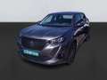 Peugeot 2008 Active Pack BlueHDI 81kW (110CV) Gris - thumbnail 2