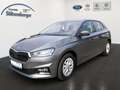 Skoda Fabia Selection 1.0 TSI*Tempomat*RFK*SHZ*LED Grau - thumbnail 1