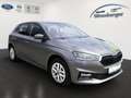 Skoda Fabia Selection 1.0 TSI*Tempomat*RFK*SHZ*LED Grau - thumbnail 2