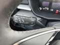 Skoda Fabia Selection 1.0 TSI*Tempomat*RFK*SHZ*LED Grau - thumbnail 19