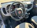 Fiat Panda 1.2 EasyPower Lounge Grau - thumbnail 18