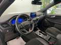 Ford Kuga 2.5 Plug-in Hybrid 225 CV 2WD ST-Line X - thumbnail 14