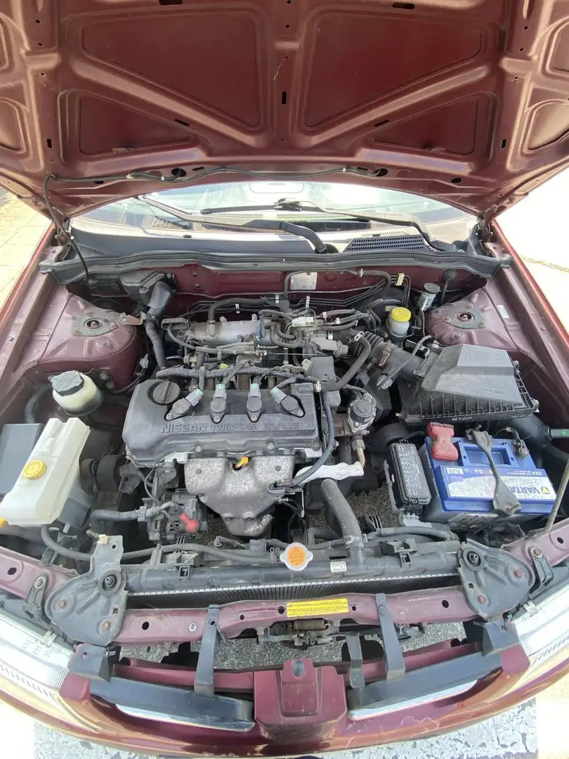 Nissan Almera 1.5i 16v Intro Rot - 2