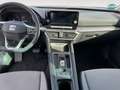 SEAT Leon 2.0 TDI DSG Style *LED*Full-Link*Sitzheizun Blanc - thumbnail 12