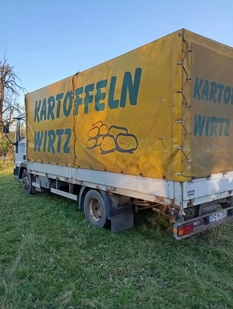 Iveco LKW Plane U. Spriegel Biały - 2