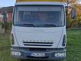 Iveco LKW Plane U. Spriegel Biały - thumbnail 1