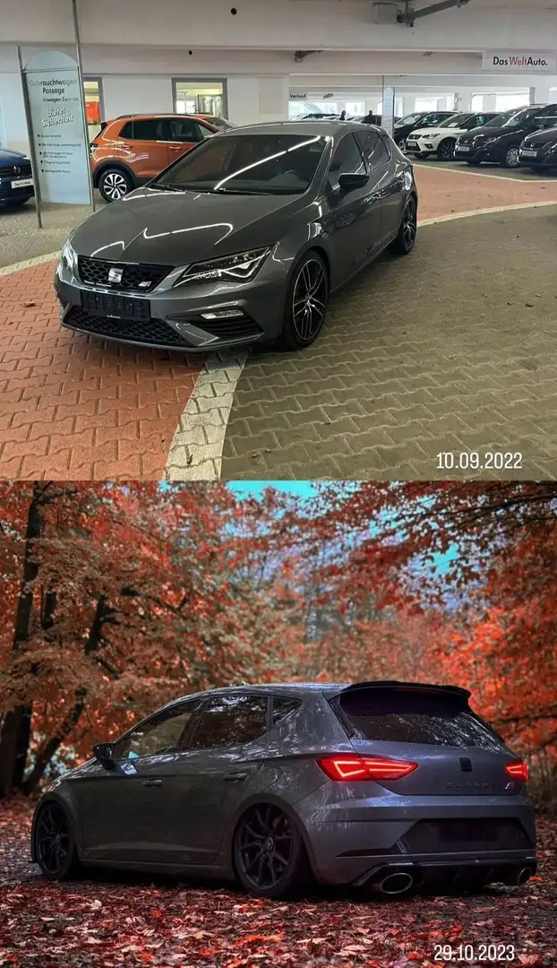 SEAT Leon 2.0 TSI Start&Stop DSG Cupra 300 - 2