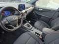 Ford Kuga Kuga 2.0 EcoBlue Hybrid ST-LINE+AHK+LED+Winter Blau - thumbnail 9