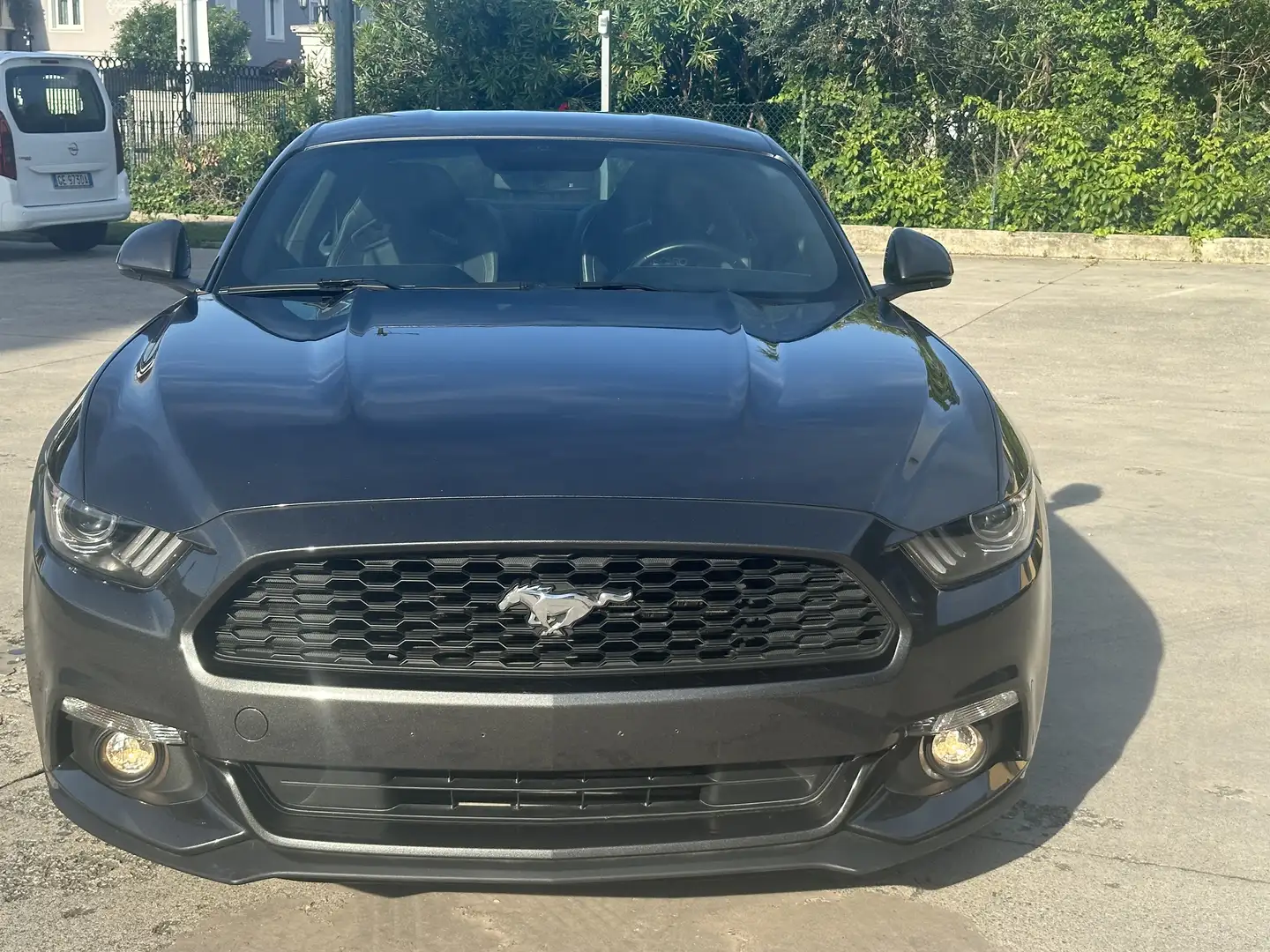 Ford Mustang Fastback coupè 2.3 ecoboost  317cv auto Gris - 2