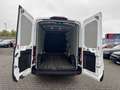 Ford Transit Kasten L3H2 Trend, 2.0 TDCI, Euro 6 Weiß - thumbnail 10