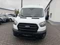 Ford Transit Kasten L3H2 Trend, 2.0 TDCI, Euro 6 Weiß - thumbnail 12