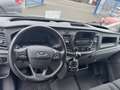Ford Transit Kasten L3H2 Trend, 2.0 TDCI, Euro 6 Weiß - thumbnail 13