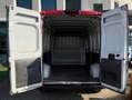 Fiat Ducato Rosso - thumbnail 6