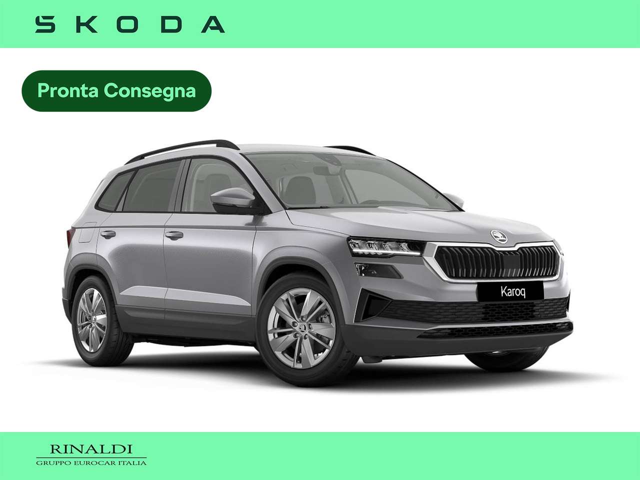 Skoda Karoq 2.0 tdi evo executive 150cv dsg