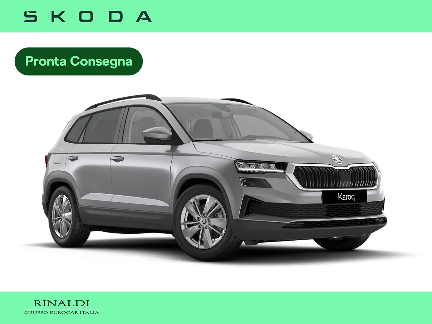 Skoda Karoq 2.0 tdi evo executive 150cv dsg Argento - 1