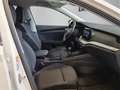 Skoda Octavia Essence TSI Weiß - thumbnail 11
