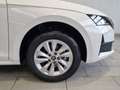 Skoda Octavia Essence TSI Weiß - thumbnail 6