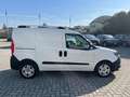 Fiat Doblo Doblò 1.3 MJT S&S PC-TN Cargo Lounge Weiß - thumbnail 4