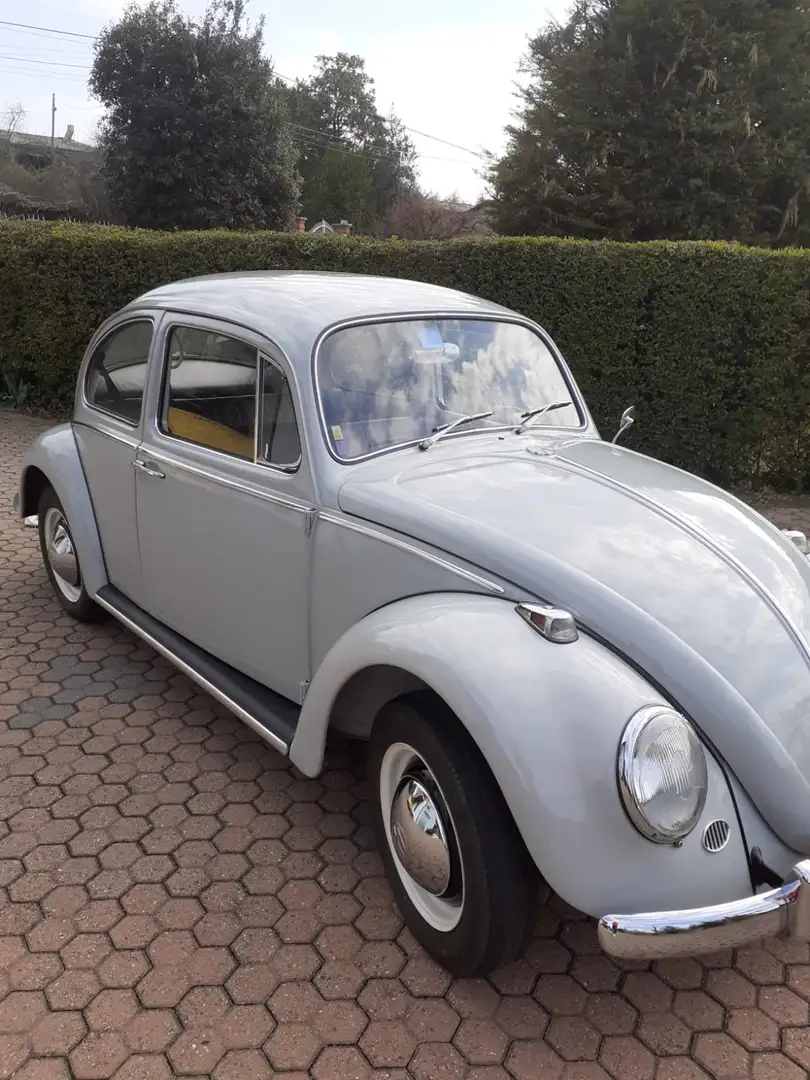 Volkswagen Maggiolino Gri - 1