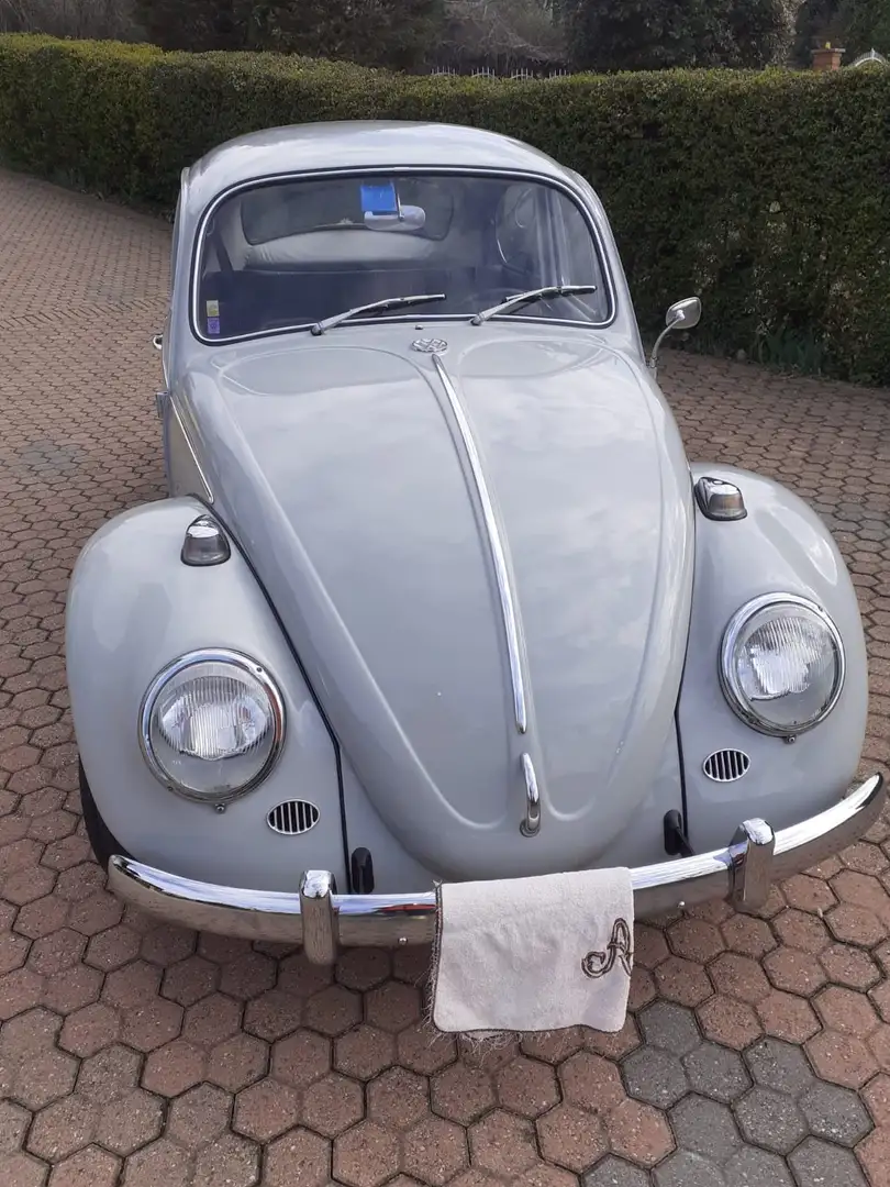 Volkswagen Maggiolino Gri - 2