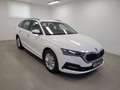 Skoda Octavia Combi 2,0 TDI Ambition DSG, Mod.23,leasingfähig Weiß - thumbnail 4