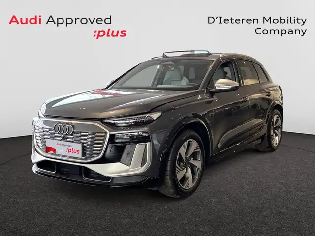 Audi SQ6 e-tron e-tron Audi SQ6 SUV  e-tron  360,00 kW