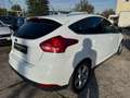 Ford Focus Lim. Titanium 2.0 TDCI*EU6* Weiß - thumbnail 5