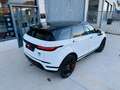 Land Rover Range Rover Evoque 2.0 I4 MHEV SE AWD Aut. 300 Weiß - thumbnail 23