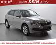 Skoda Kamiq 1.6d Ambition VIRTU+NAVI+LED+SHZ+PDC+TEMP+ Grijs - thumbnail 1