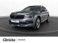 Skoda Kamiq 1.0 TSI Selection Grau - thumbnail 1