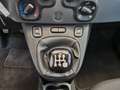 Fiat Panda Panda 2021 0.9 natural power City Cross 84cv Blanc - thumbnail 18