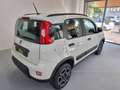 Fiat Panda Panda 2021 0.9 natural power City Cross 70cv Bianco - thumbnail 6