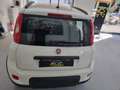 Fiat Panda Panda 2021 0.9 natural power City Cross 70cv Bianco - thumbnail 5