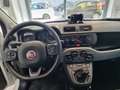Fiat Panda Panda 2021 0.9 natural power City Cross 84cv Blanc - thumbnail 16