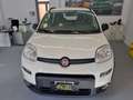 Fiat Panda Panda 2021 0.9 natural power City Cross 70cv Bianco - thumbnail 2