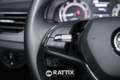 Skoda Kamiq 1.0 TSI 110CV Ambition Gris - thumbnail 11