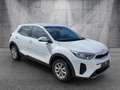 Kia Stonic 1.2 Edition 7 Emotion Winterpaket Bianco - thumbnail 2