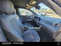 Mercedes-Benz EQA 250 EQA 250 Progressive 360° Vorr.-Distronic LED Park Schwarz - thumbnail 15