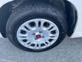 Fiat Panda Panda 1.2 Easy Beige - thumbnail 9