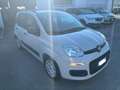 Fiat Panda Panda 1.2 Easy Beige - thumbnail 3