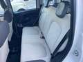 Fiat Panda Panda 1.2 Easy Beige - thumbnail 13