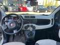 Fiat Panda Panda 1.2 Easy Beige - thumbnail 12