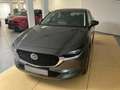 Mazda CX-30 EXCLUSIVE-LINE*e-SKYACTIV X*Allrad*Autom.* Gris - thumbnail 9