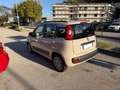 Fiat Panda 1.3 Mjt S&S Lounge NEOPATENTATI Beige - thumbnail 6