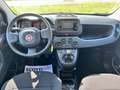 Fiat New Panda 1.0 FireFly Hybrid Nero - thumbnail 14