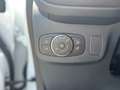 Ford Puma 1.0 ecoboost hybrid Titanium Grigio - thumbnail 10