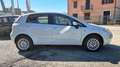 Fiat Punto PUNTO 1.4 70CV NATURAL POWER DYNAMIC X NEO PATENTA Bianco - thumbnail 7