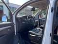Toyota Proace 2,0-l-D-4D L1 (7-Si.) Autm. Verso Executive Blanc - thumbnail 14