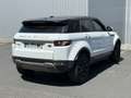 Land Rover Range Rover Evoque Range Rover Evoque TD4 Pure - thumbnail 7